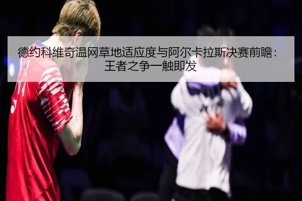 德约科维奇温网草地适应度与阿尔卡拉斯决赛前瞻：王者之争一触即发