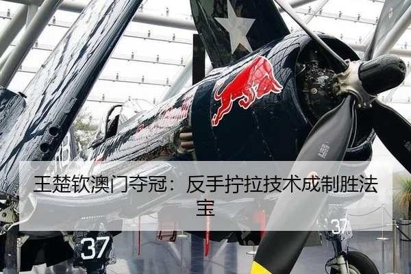 王楚钦澳门夺冠：反手拧拉技术成制胜法宝